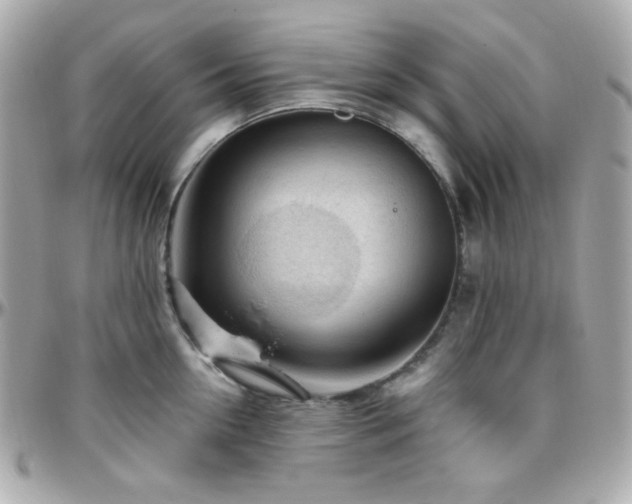 X0000096470954200801241426