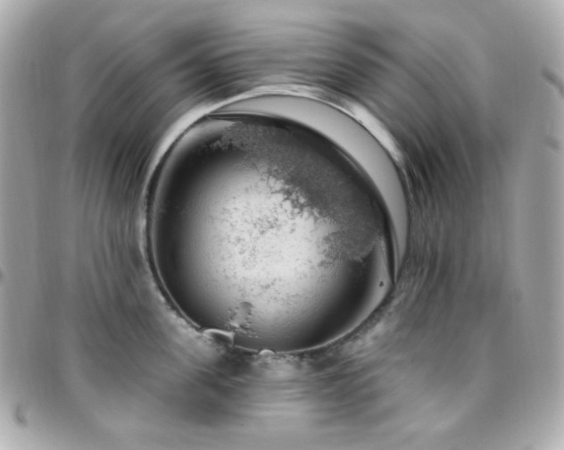 X0000096470955200801241426