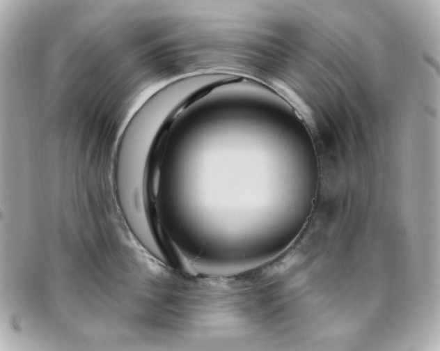 X0000096470956200801241426