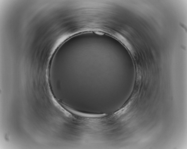 X0000096470958200801241426