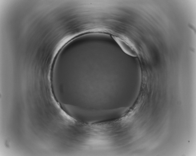 X0000096470959200801241426