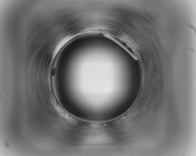 X0000096470960200801241426