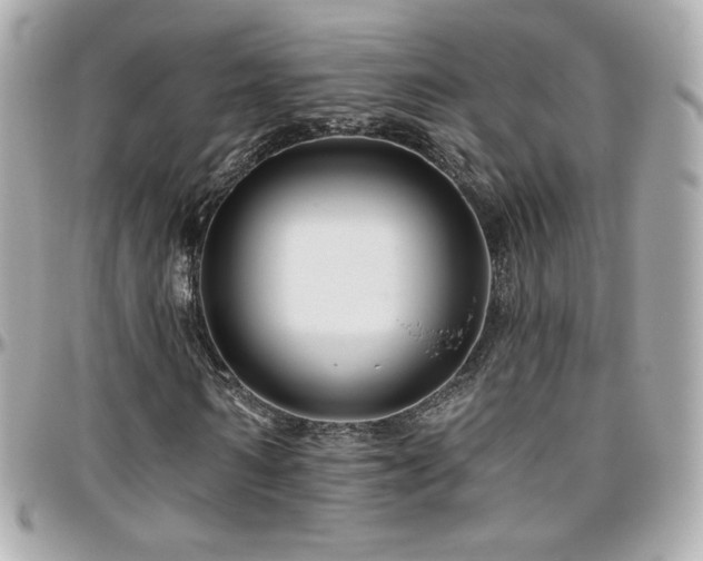 X0000096470962200801241425