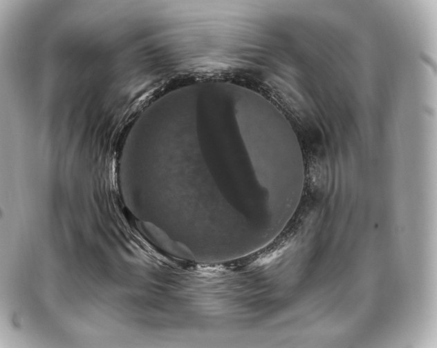 X0000096470964200801241425