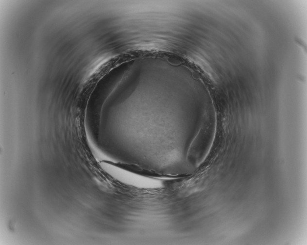 X0000096470968200801241425