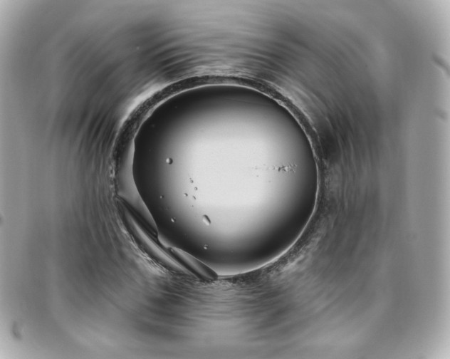 X0000096470971200801241425