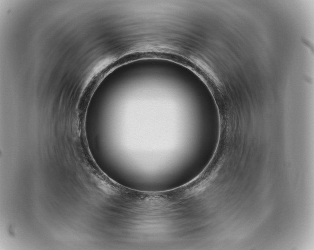 X0000096470974200801241425