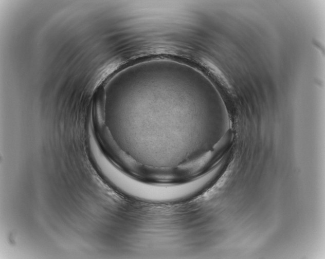 X0000096470977200801241425