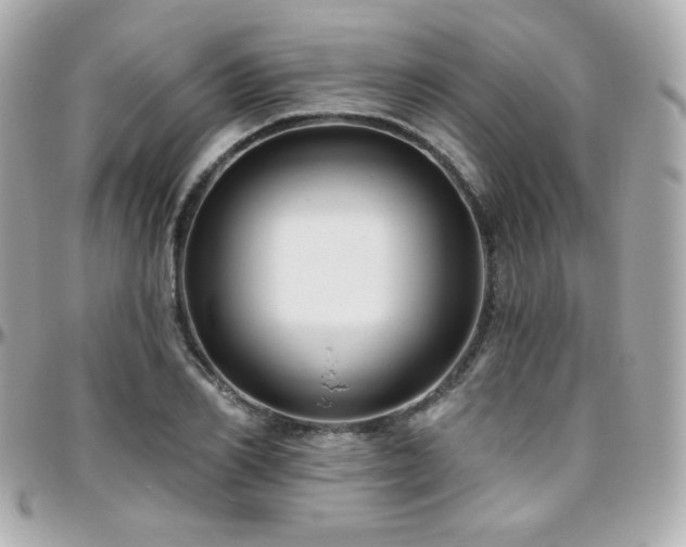 X0000096470982200801241425