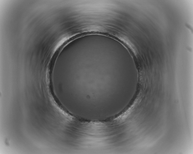 X0000096470983200801241425