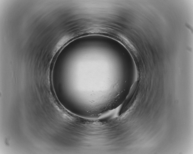 X0000096470986200801241425