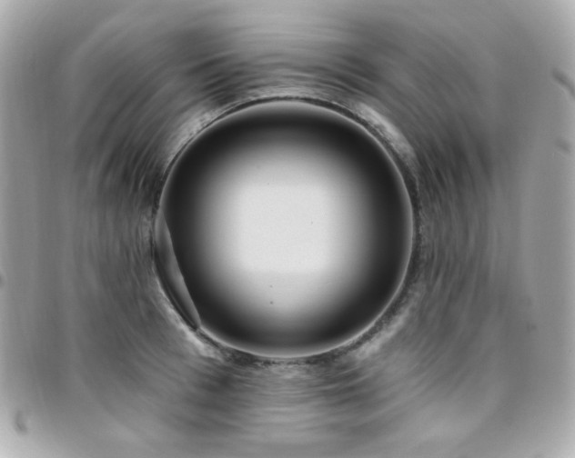 X0000096470993200801241425