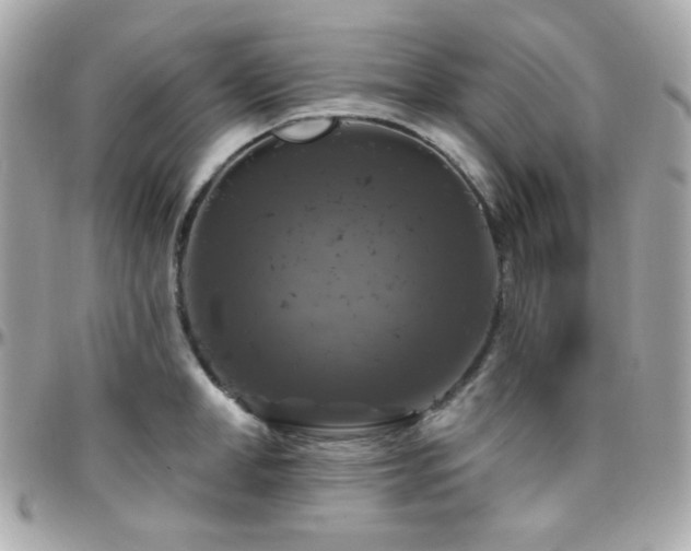 X0000096470998200801241425