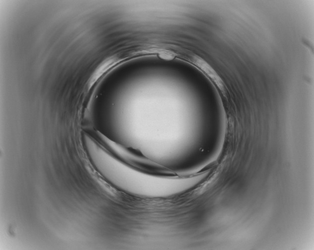 X0000096471002200801241425