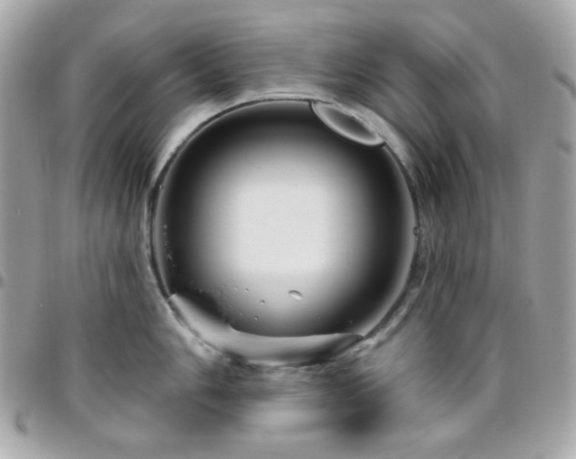 X0000096471006200801241425