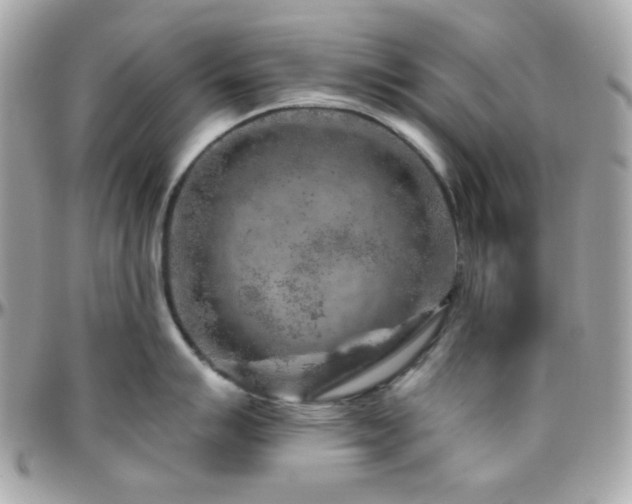 X0000096471007200801241425