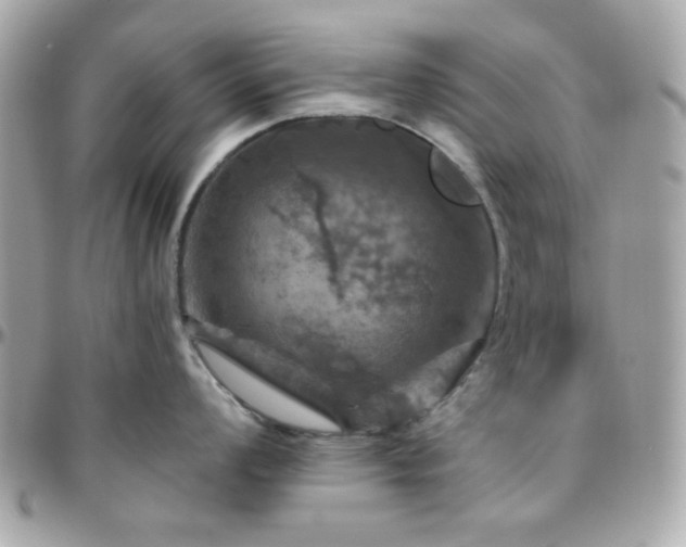 X0000096471008200801241425