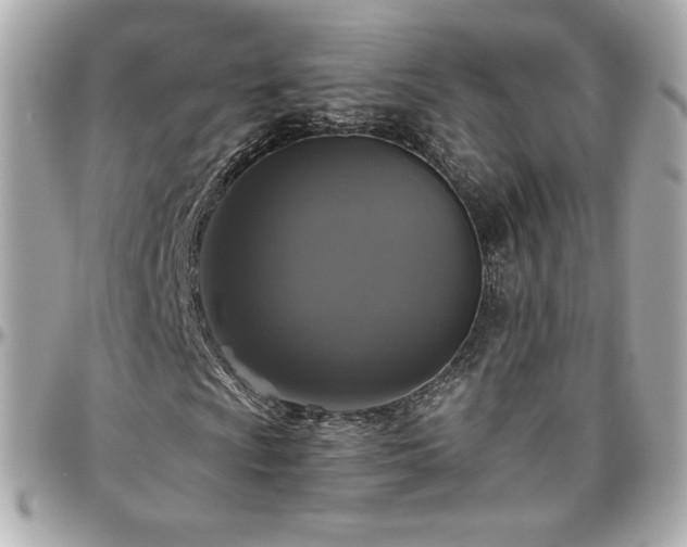 X0000096471009200801241424