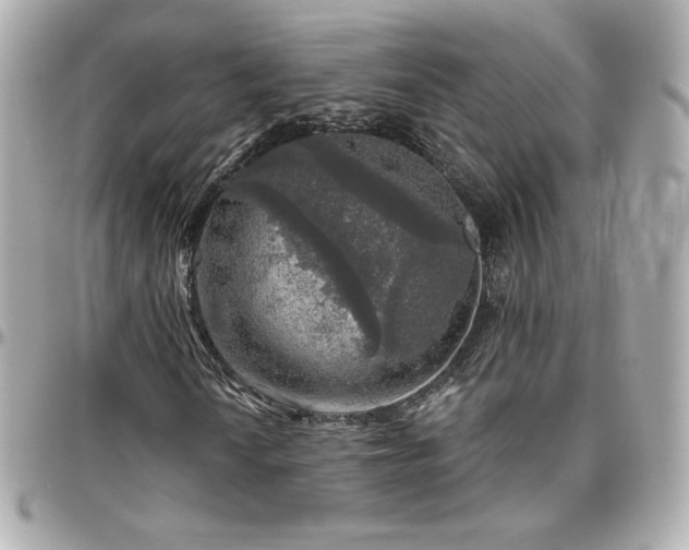 X0000096471010200801241424