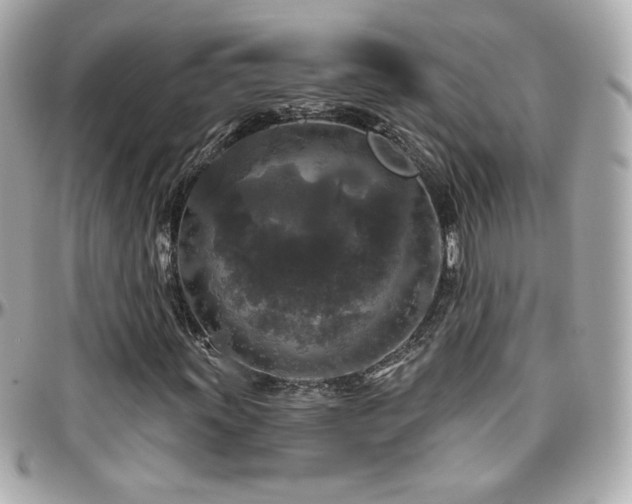 X0000096471011200801241424