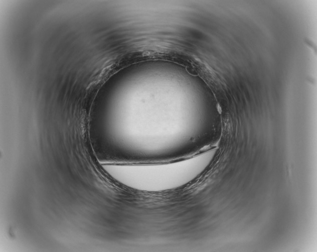 X0000096471012200801241424