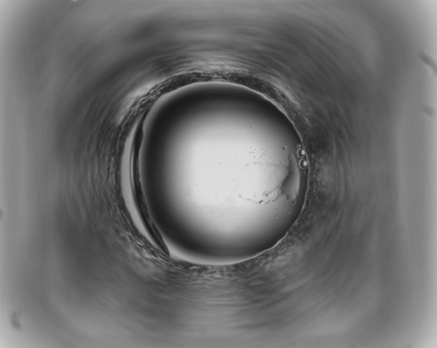 X0000096471016200801241424