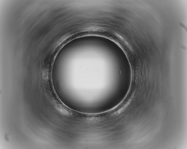 X0000096471017200801241424