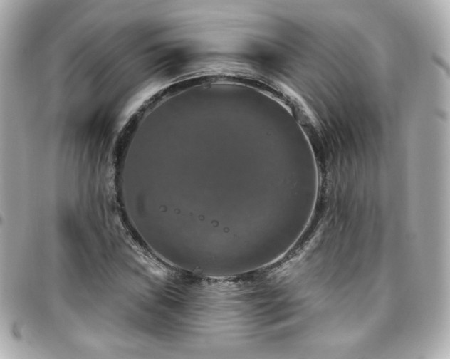 X0000096471019200801241424