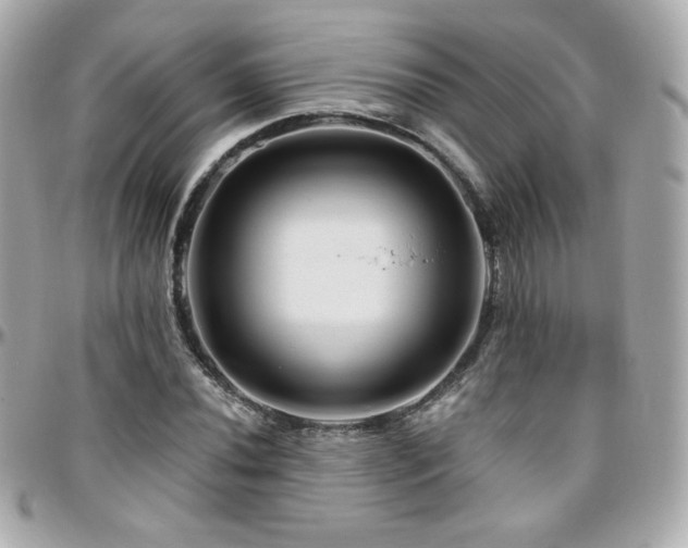 X0000096471020200801241424