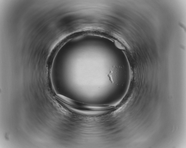 X0000096471021200801241424