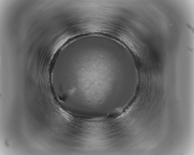 X0000096471023200801241424