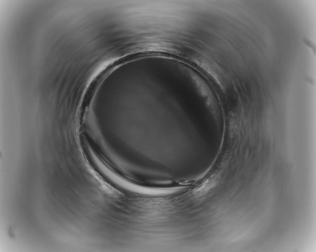 X0000096471024200801241424