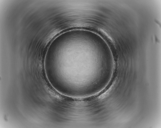 X0000096471025200801241424