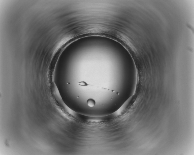 X0000096471026200801241424