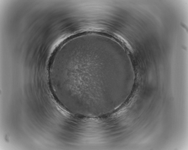 X0000096471027200801241424