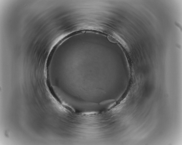 X0000096471028200801241424