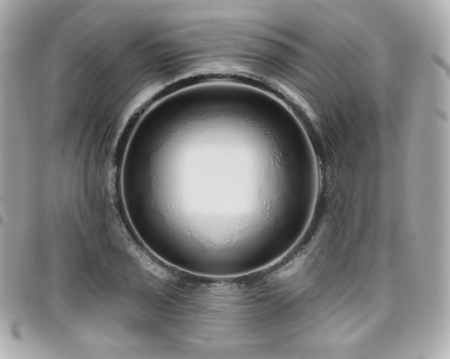 X0000096471029200801241424