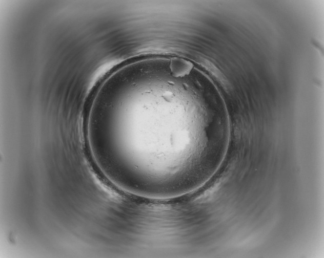 X0000096471030200801241424