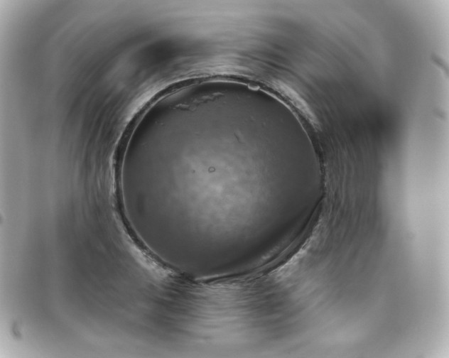 X0000096471031200801241424