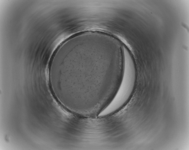 X0000096471032200801241424