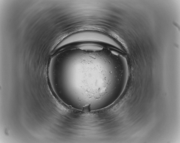 X0000096471033200801241424