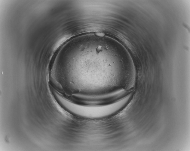 X0000096471034200801241424