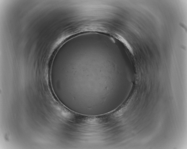 X0000096471035200801241424