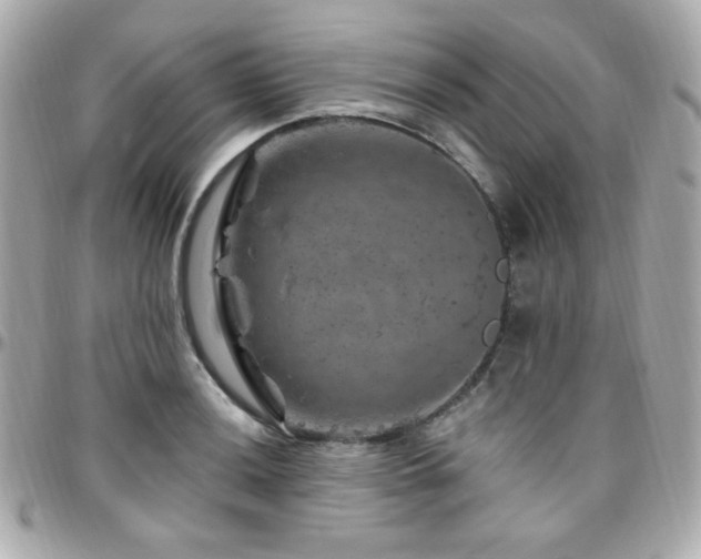 X0000096471036200801241424