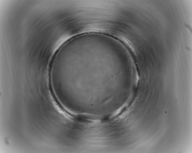 X0000096471038200801241424