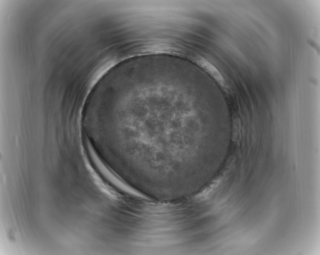 X0000096471039200801241424