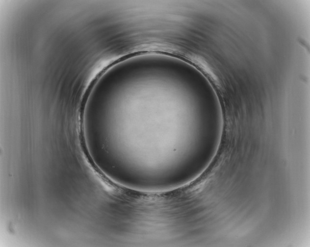 X0000096471040200801241424