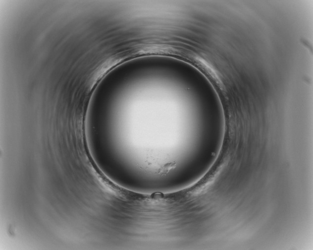 X0000096471041200801241424