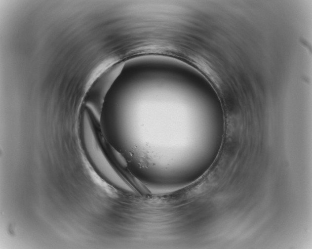 X0000096471042200801241424