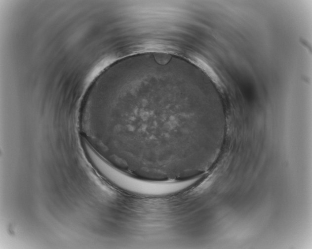 X0000096471043200801241424